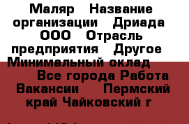 Маляр › Название организации ­ Дриада, ООО › Отрасль предприятия ­ Другое › Минимальный оклад ­ 18 000 - Все города Работа » Вакансии   . Пермский край,Чайковский г.